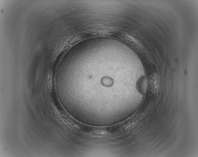 X0000085060642200703191326