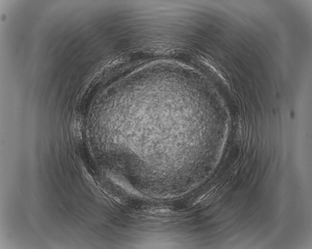 X0000085060643200703191326