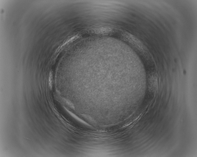 X0000085060644200703191326