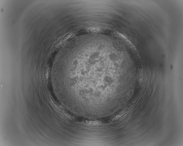 X0000085060645200703191326