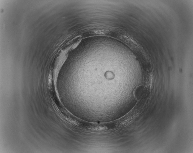 X0000085060646200703191326