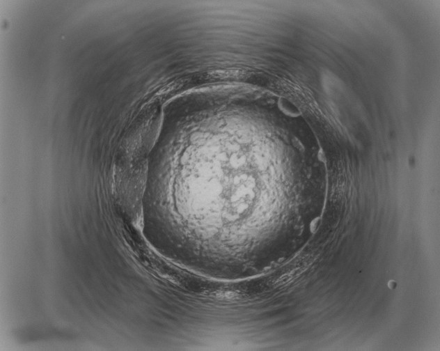 X0000085060647200703191326