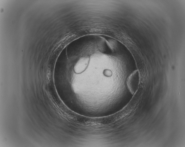 X0000085060648200703191326