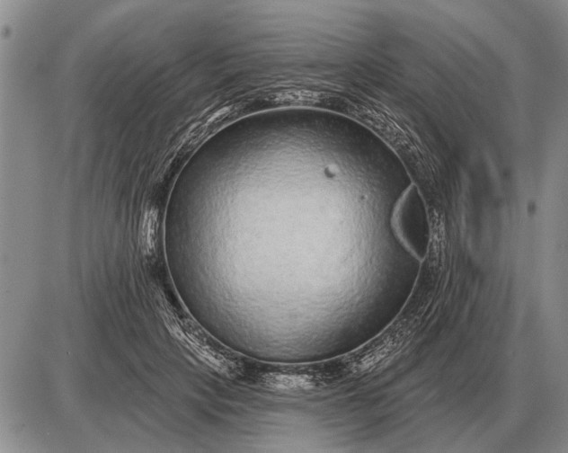 X0000085060649200703191326