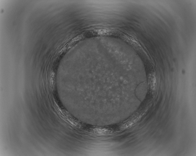 X0000085060650200703191326