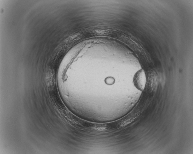 X0000085060651200703191326