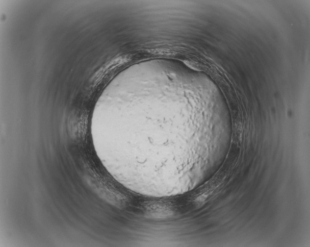 X0000085060652200703191326