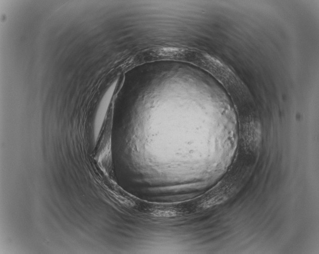 X0000085060653200703191326