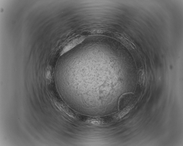 X0000085060655200703191326