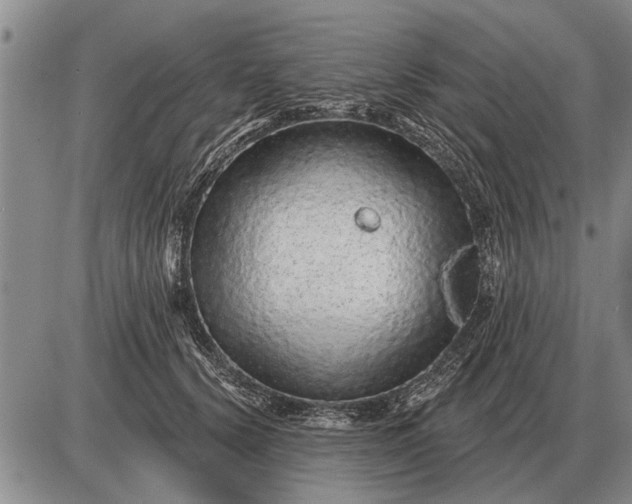 X0000085060656200703191326