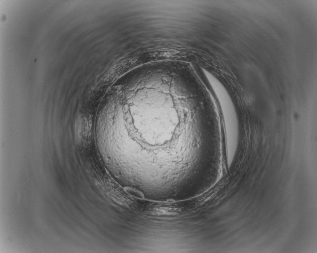 X0000085060657200703191326