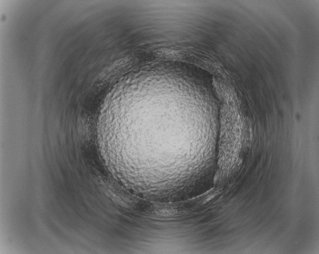 X0000085060658200703191326