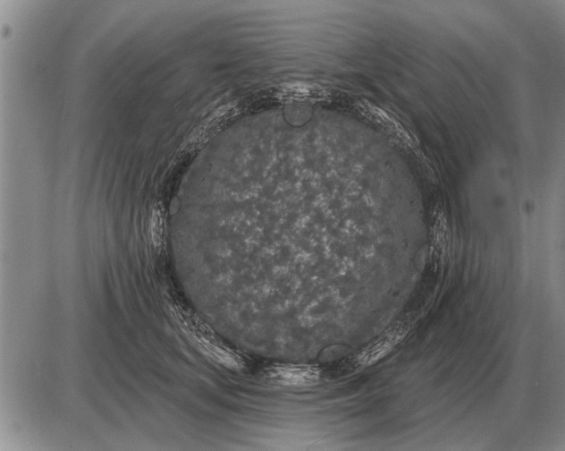 X0000085060659200703191326