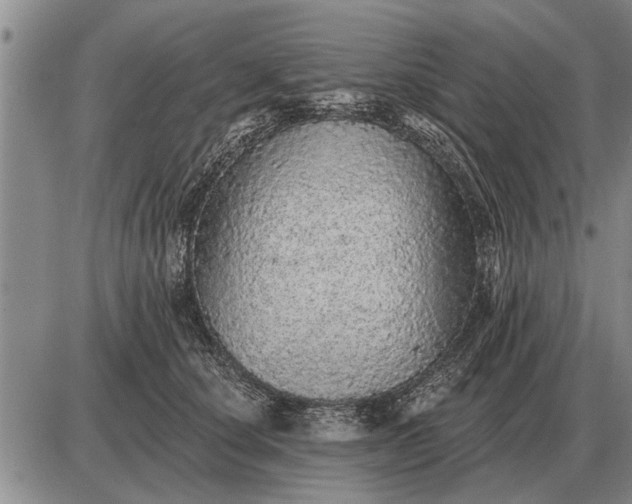 X0000085060660200703191326