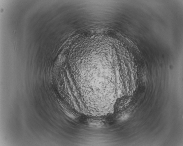 X0000085060661200703191326