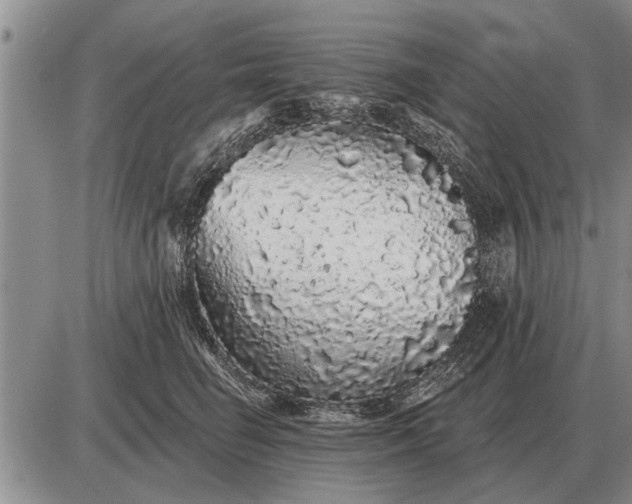 X0000085060662200703191326