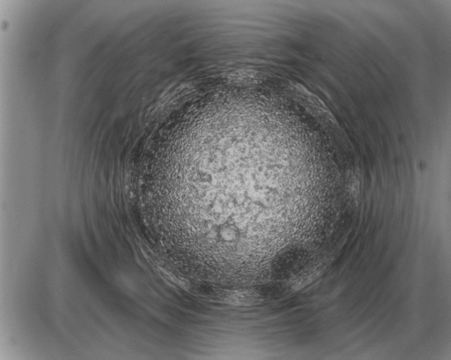 X0000085060663200703191326