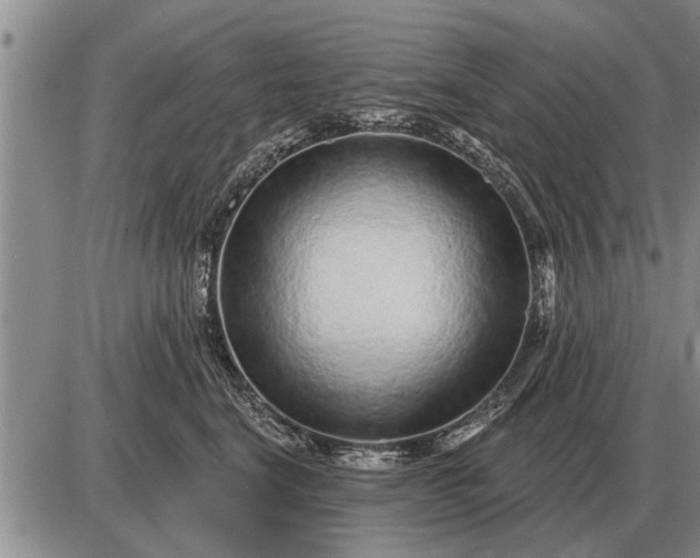 X0000085060664200703191326