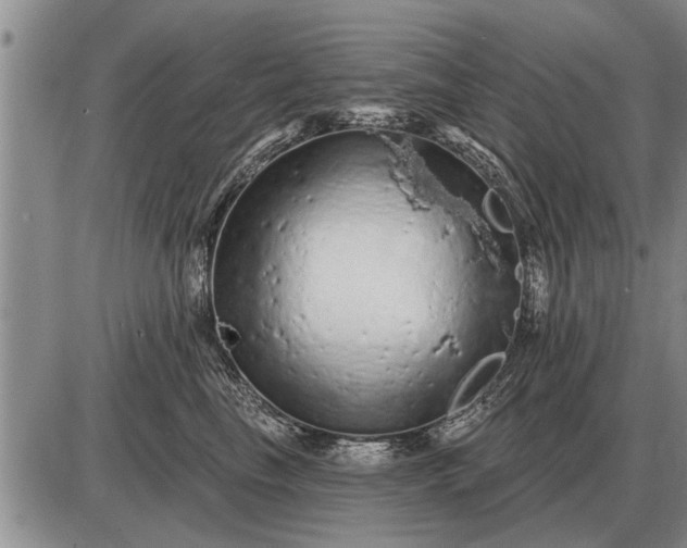 X0000085060665200703191326