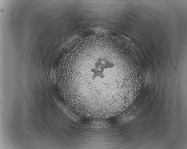 X0000085060666200703191326