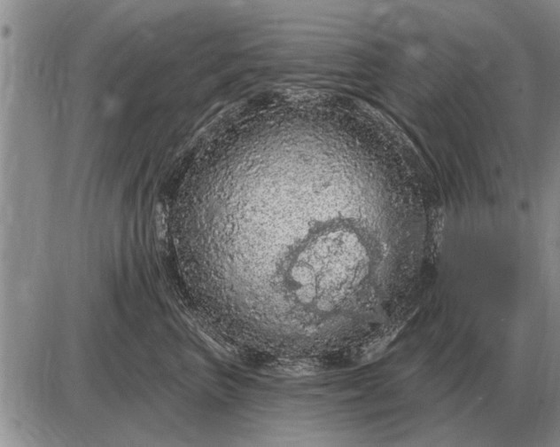 X0000085060667200703191326