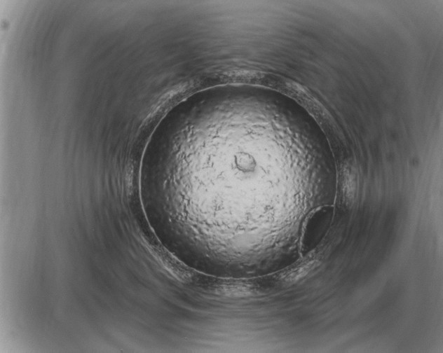 X0000085060668200703191326