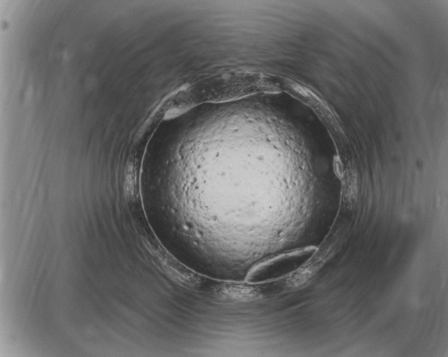 X0000085060669200703191326