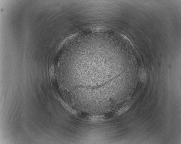 X0000085060670200703191326