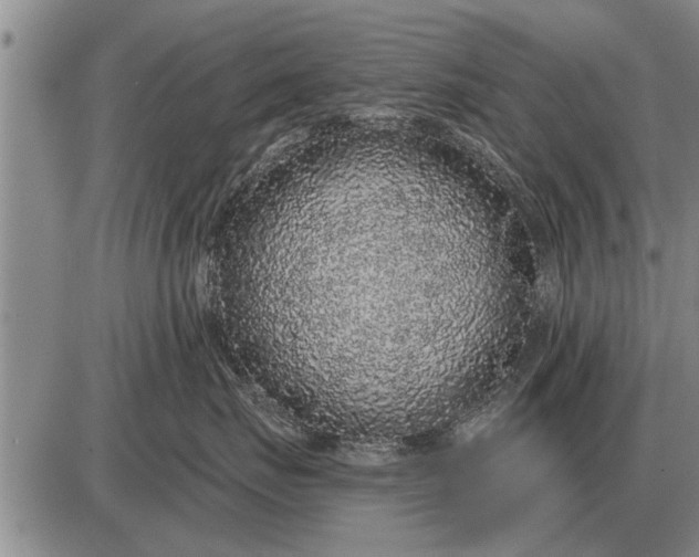 X0000085060671200703191326