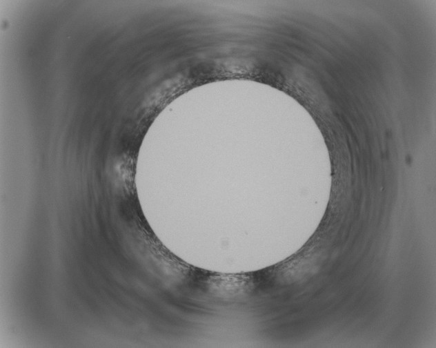 X0000085060672200703191326