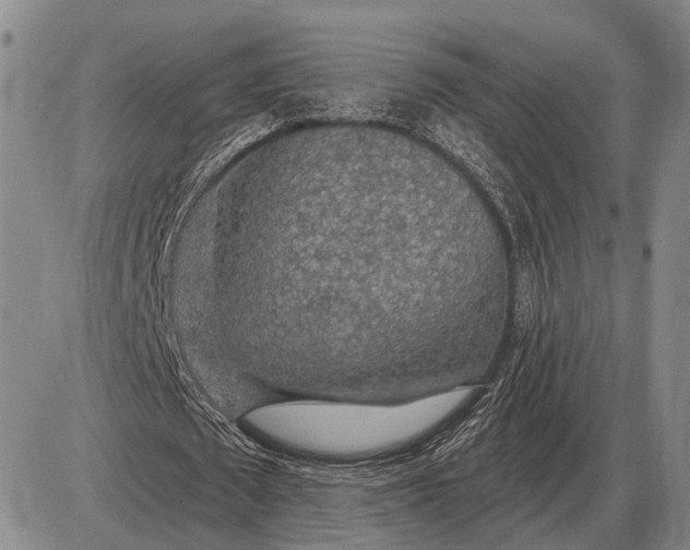 X0000085060673200703191325