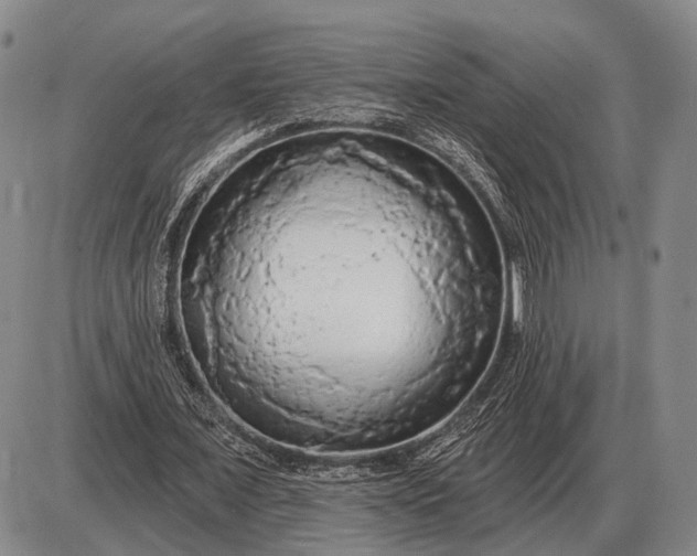 X0000085060675200703191325