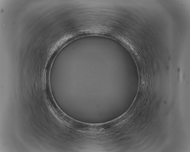 X0000085060678200703191325