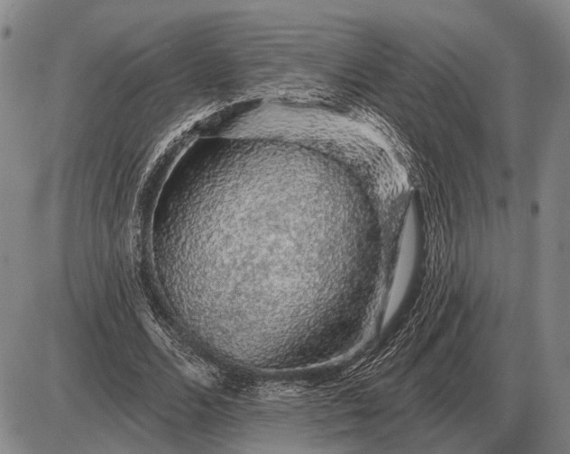 X0000085060680200703191325