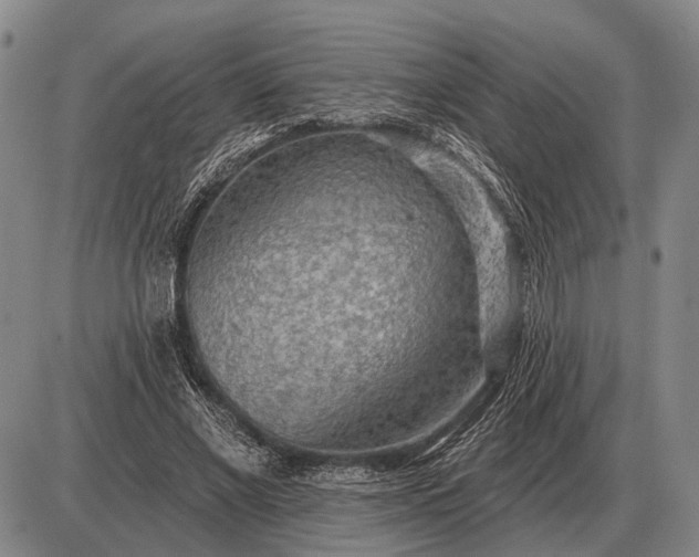 X0000085060685200703191325