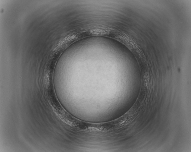 X0000085060690200703191325