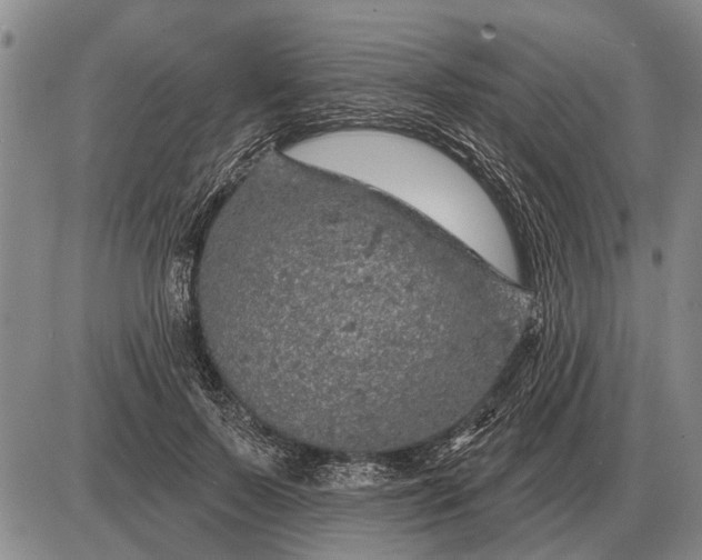 X0000085060695200703191325