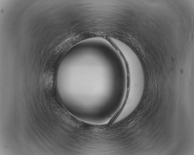 X0000085060697200703191325