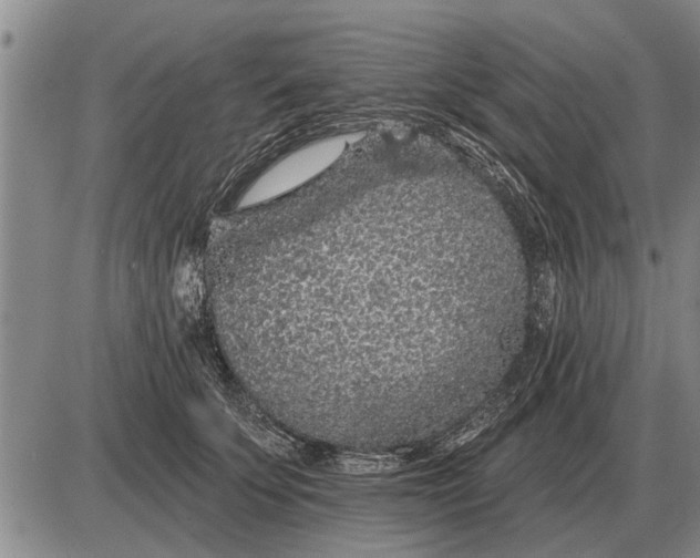 X0000085060707200703191325