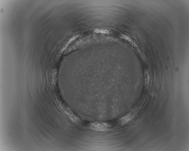 X0000085060712200703191325