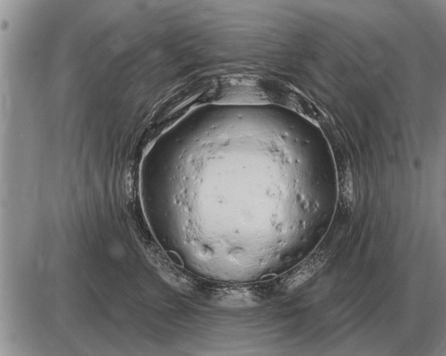 X0000085060715200703191325