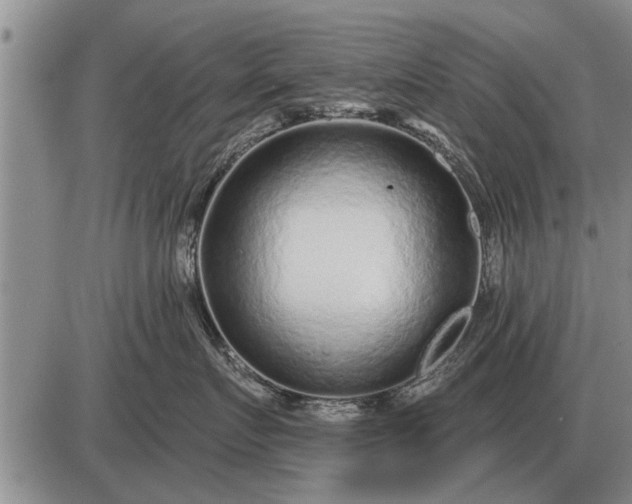 X0000085060719200703191325