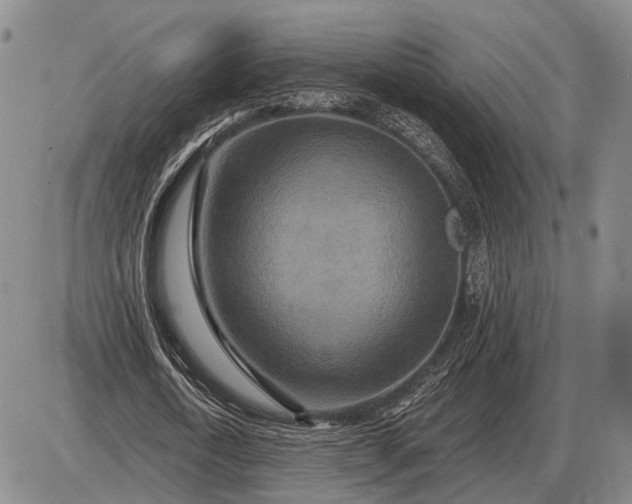 X0000085060722200703191324