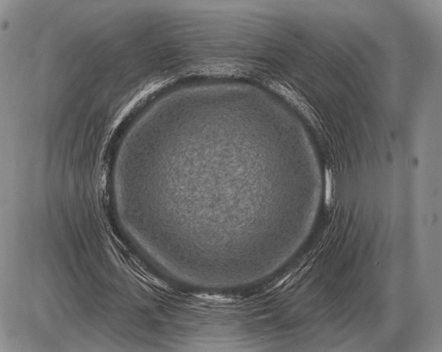 X0000085060723200703191324