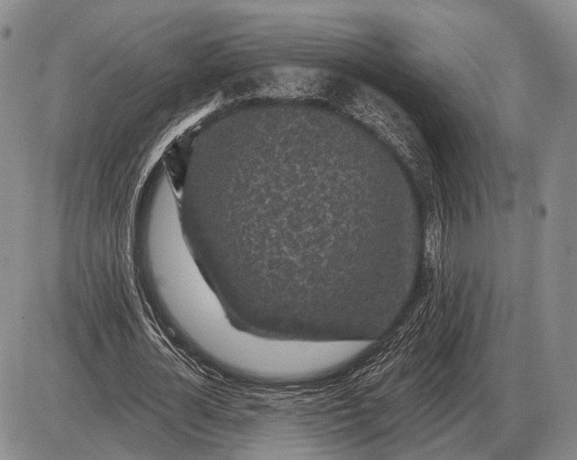 X0000085060724200703191324