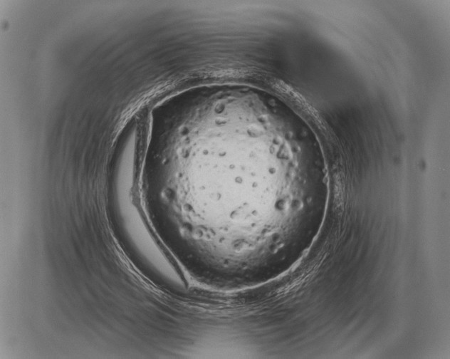 X0000085060725200703191324