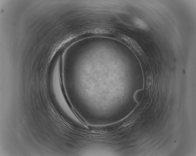 X0000085060727200703191324