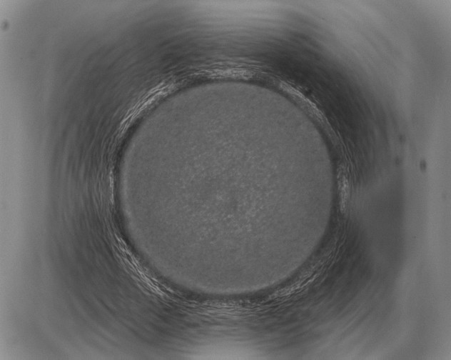 X0000085060729200703191324