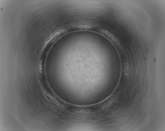 X0000085060731200703191324