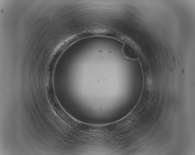 X0000085060732200703191324